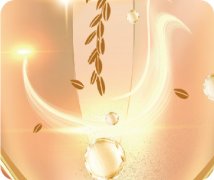 Bioyouth™-Brice 糙米发酵滤液